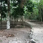 Villas Bizu Lagoon