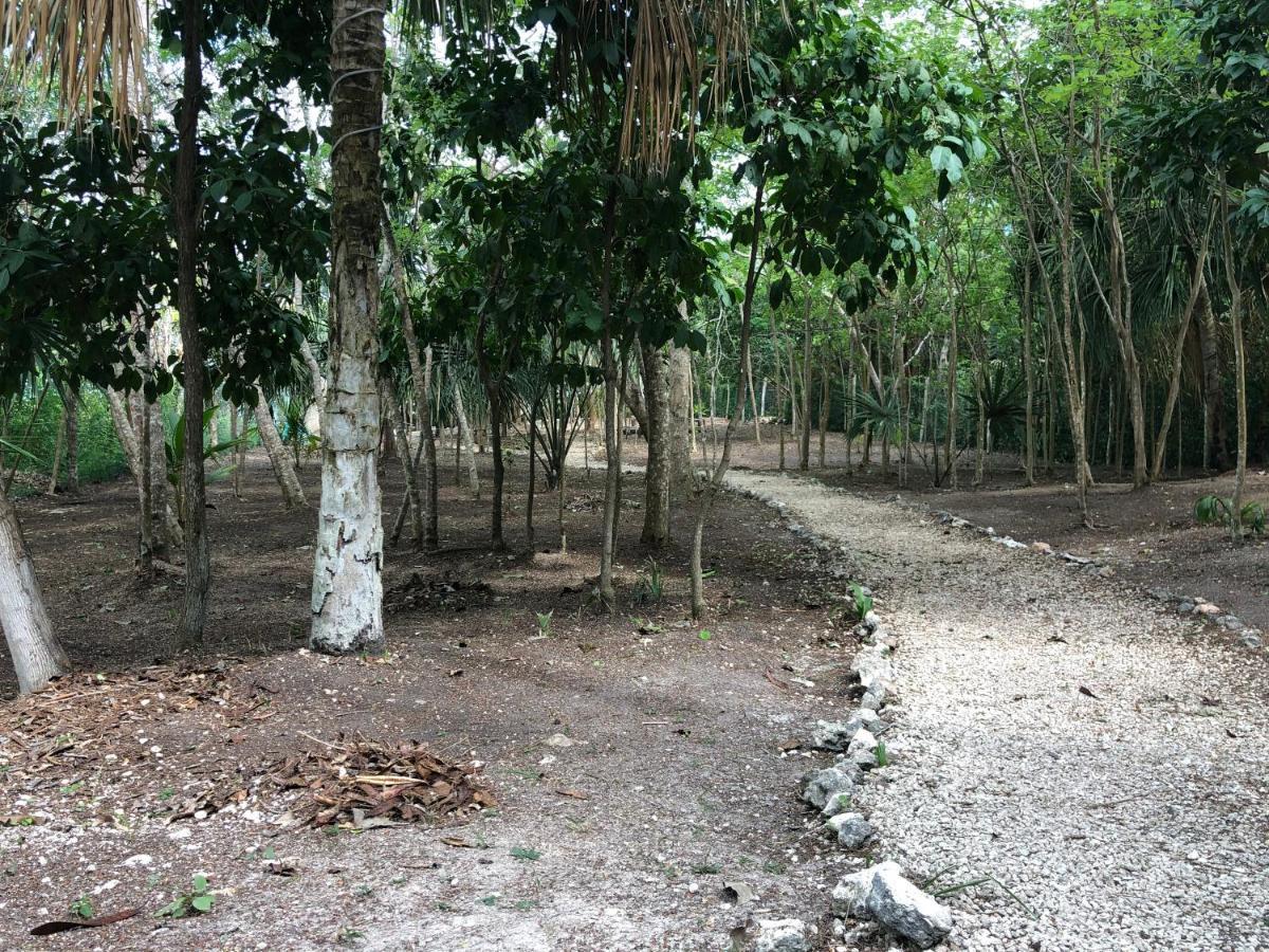 Villas Bizu Lagoon Villa